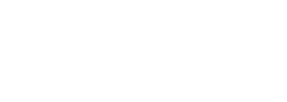 Opticas Fosva