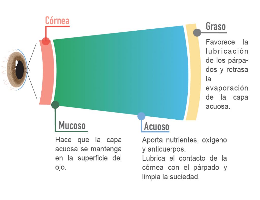 componentes de la pelicula lagrimal